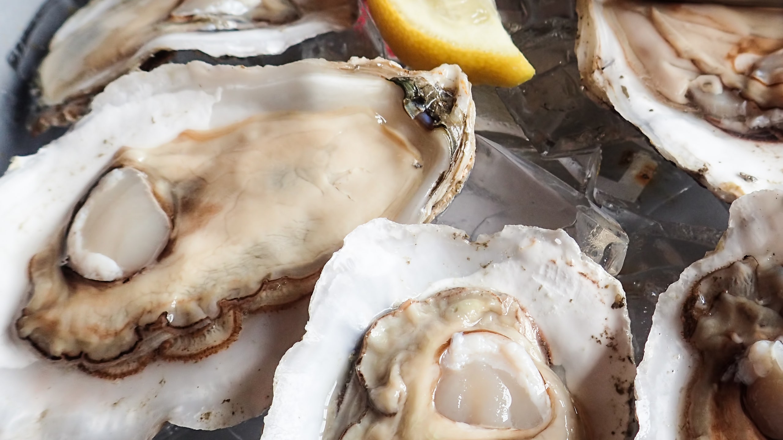 What Happens If You Eat Raw Oysters While Pregnant